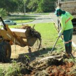 Número de projetos aprovados na Câmara de Paulínia aumenta 38%