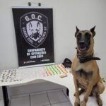 A Prefeitura de Paulínia realizou nesta sexta-feira, 2, a maior renovação de armas da história da Guarda Civil Municipal (GCM)