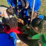 A partir desta segunda-feira, 1º de julho, os Programas Emprega Paulínia, Sebrae Aqui e Banco do Povo funcionarão no Paço Municipal e na sede do Fundo Social