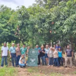 Procon e Febraban orientam consumidores sobre gastos no fim de ano