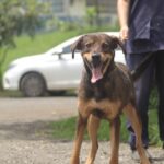 Flávio Xavier propõe reestruturação do Centro de Geriatria e uma Multiclínica de Exames – Câmara Municipal de Paulínia