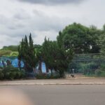 Carnaval em Paulínia reúne 20 mil pessoas