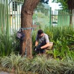 3ª edição do Festival Gastro Musical e Cultural foi um sucesso – Prefeitura Municipal de Cosmópolis