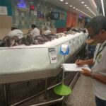 Câmara Municipal de Cosmópolis – SP