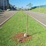 Prefeitura abre 50 vagas para cursos de qualificação