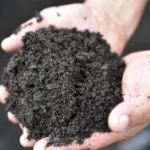 Mendonça vota para manter prisão de suspeitos por fraude no INSS