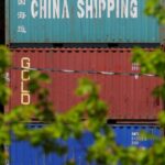 BNDES passa a financiar pesquisa para plantio comercial de árvores nativas