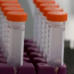 Candidatos do CNU deverão fazer três confirmações para disputar cadastro de reserva