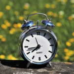 Gleisi critica família Bolsonaro após Flávio sugerir intervenção armada dos EUA no Brasil