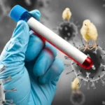 STJD adia julgamento de recurso de Bruno Henrique, do Flamengo