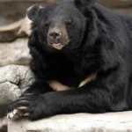 Matheus Martins vence prova e é o novo fazendeiro em A Fazenda 17