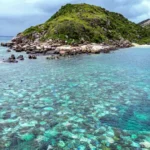 Cabeça do crime organizado não está no barraco da favela, diz Boulos