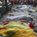 Receitas de uma panela: 4 pratos fáceis e deliciosos para o jantar