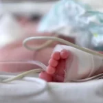 Bolsa bate recorde e dólar cai após reunião entre Lula e Trump