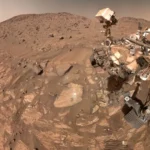 Aos trancos e barrancos, Atlético-MG tem Sula como alento em ano caótico