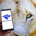 Líder do PL viaja aos EUA e deve encontrar Eduardo em momento de impasse sobre anistia