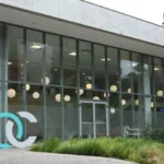 3 pratos para incluir o ovo na alimentação das crianças 