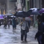 Comida queimada faz realmente mal à saúde?