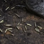 Ex-diretor do INSS nega vínculo político em depoimento à CPI