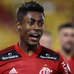 Gripe aviária: Argentina se autodeclara livre da doença à OMSA