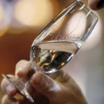 Homem de 70 anos é decapitado após ataque de urso no Japão