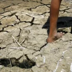 SP tem 6 estabelecimentos fechados por suspeita de bebida adulterada