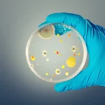 Aeroporto Santos Dumont, no RJ, é fechado após vazamento de óleo na pista