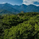 Sete presos suspeitos de liderarem CV no RJ são transferidos para presídios federais