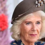 Seminário Estadual de Vigilância Socioassistencial – Prefeitura Municipal de Cosmópolis