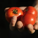 Kimberly-Clark compra dona do Tylenol. Uma “dor de cabeça” de US$ 40 bilhões?