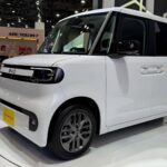 Nikolas Ferreira tenta cassar visto de Felipe Neto e briga com famosos