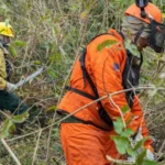 Brasil se destaca no ranking de países com mais casos de câncer