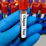 Bolsa volta a subir e atinge inéditos 153 mil pontos em dia de Copom