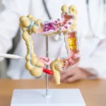 Filmes de Natal icônicos: Você lembra destes?