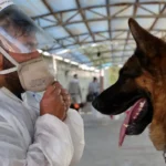 Alcolumbre insiste em Pacheco no STF, e senador evita buscar outro partido até decisão de Lula