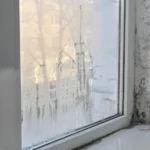 Pierce Brosnan se reconcilia com o filho após 20 anos afastados