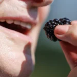 Anvisa manda recolher lotes de sabão líquido por bactéria: quais os riscos?