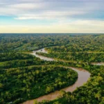 Brasil capta US$ 2,25 bilhões em títulos no mercado internacional