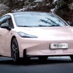 Estudo revela o alimento que pode reduzir a gordura do fígado em 50%