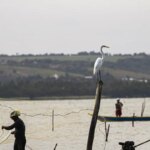 “Juro baixo é bom para todo mundo, inclusive para os bancos”, diz CEO do Itaú