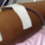 Oito sinais de que o seu gato pode estar com demência