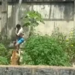 Presidente da Fifa parabeniza Flamengo pelo título e já cita o Mundial de Clubes de 2029