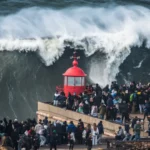 Focus: dólar no fim de 2025 segue em R$ 5,41; para 2026, continua em R$ 5,50