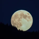 Vitor Roque deve receber oferta de R$ 308 milhões da Premier League