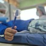 Grammy indica Caetano Veloso e Maria Bethânia para melhor álbum de música global