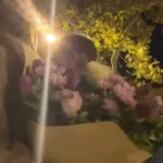 Ex-assessor de Bolsonaro abre vaquinha para custear advogado nos EUA