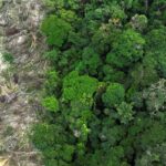 É momento de levar a sério os alertas da ciência, diz Lula na Cúpula