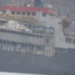 Fã arranca dreadlocks de Lenny Kravitz durante show: “Uma loucura”