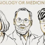 Wallas Arrais vence prova de fogo; veja quem está na baia