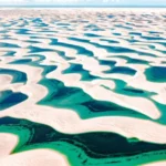 Anvisa proíbe venda de 32 suplementos por fabricação em ‘condições insalubres’